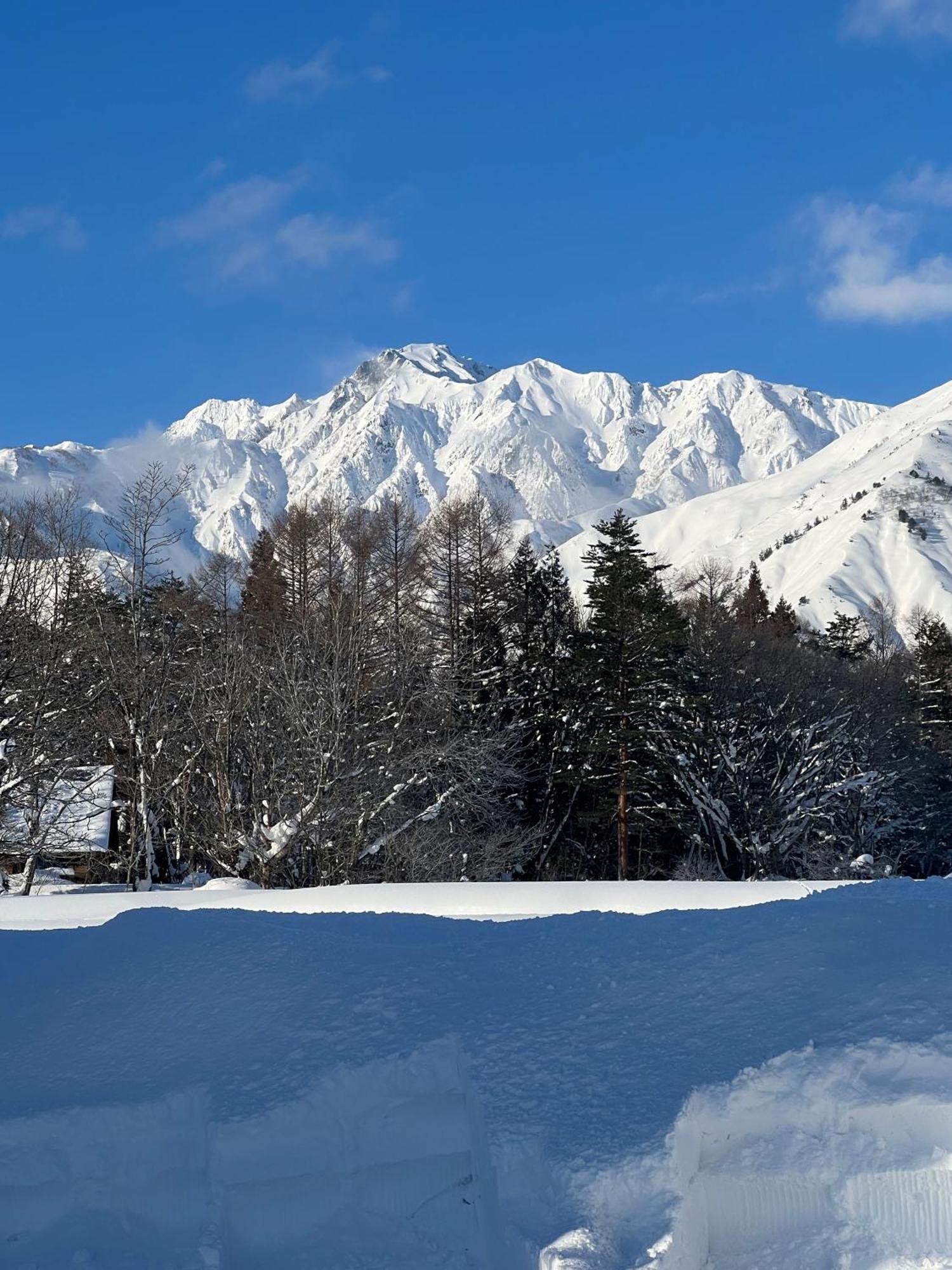 Heidihof Hotel Hakuba Exterior foto