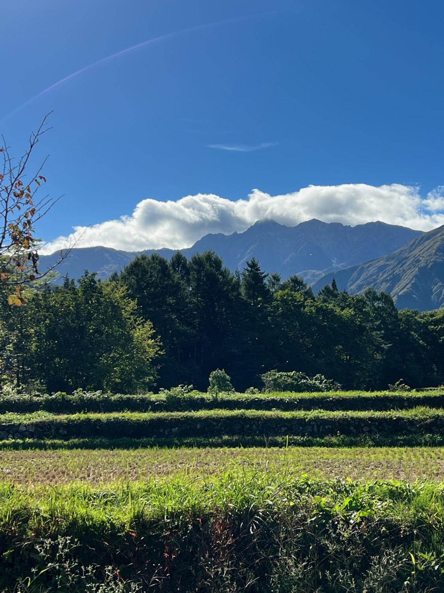 Heidihof Hotel Hakuba Exterior foto